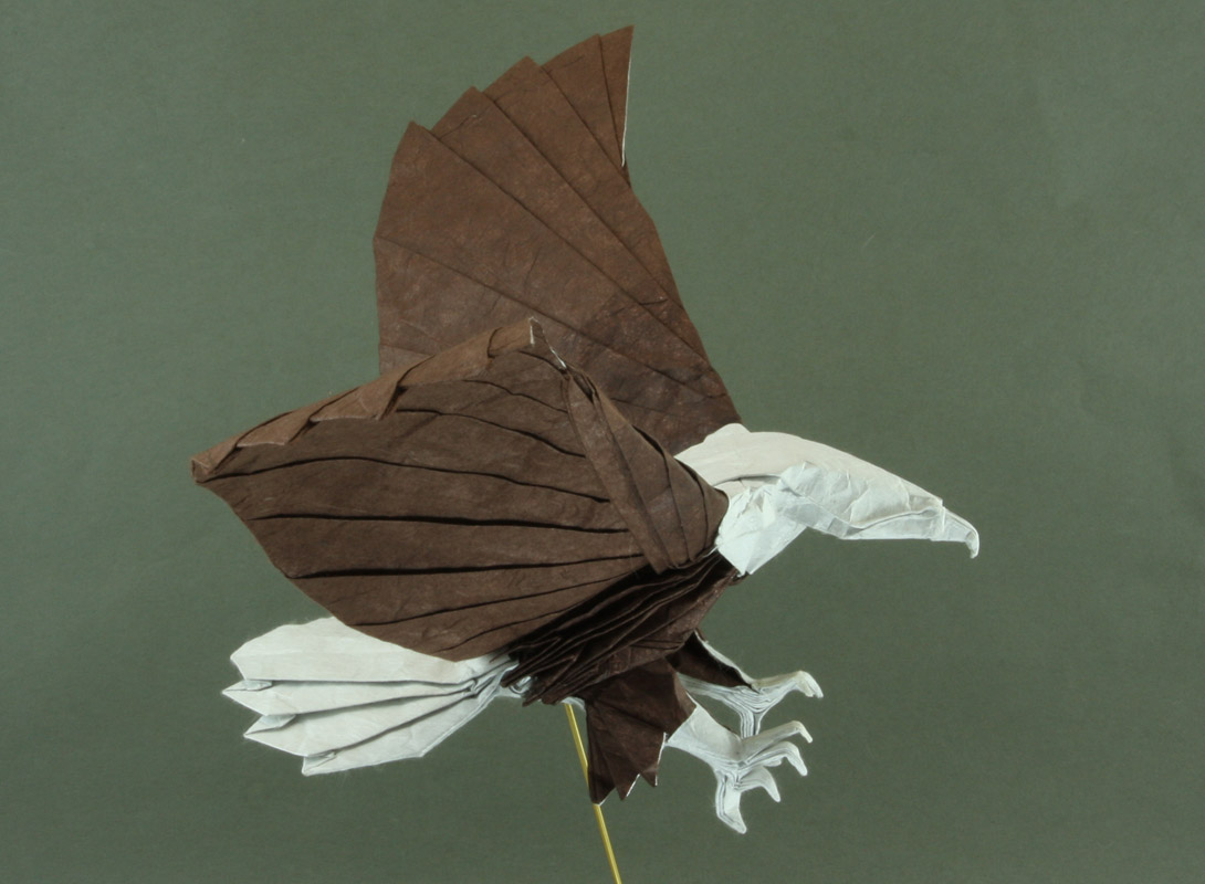 Origami eagle nguyen hung cuong diagram pdf 2017